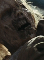 twd0616-2817.jpg