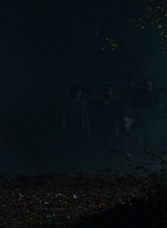 twd0616-3960.jpg