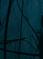 twd0616-4030.jpg