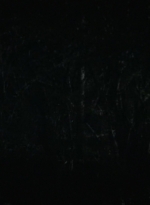 twd0616-4039.jpg