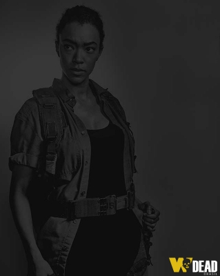 The Walking Dead 6ª Temporada
