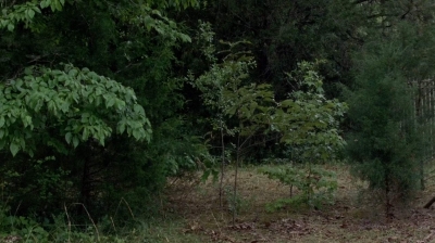twd0702-0098.jpg
