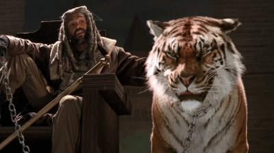 twd0702-0489.jpg