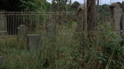 twd0702-2839.jpg