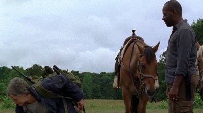 twd0702-2938.jpg