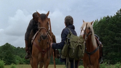 twd0702-2964.jpg