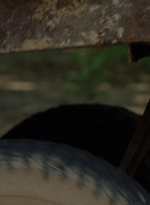 twd0702-0006.jpg