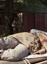 twd0702-0039.jpg