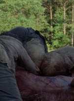 twd0702-0059.jpg