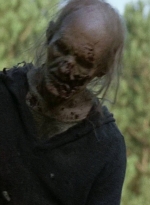 twd0702-0061.jpg