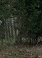 twd0702-0105.jpg