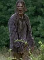 twd0702-0129.jpg