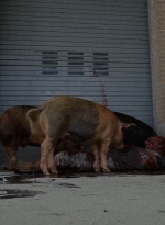 twd0702-0861.jpg