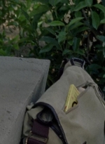 twd0702-1456.jpg
