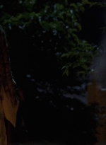 twd0702-2321.jpg
