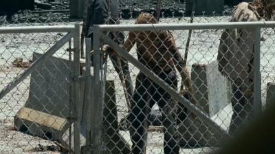 twd0703-0198.jpg