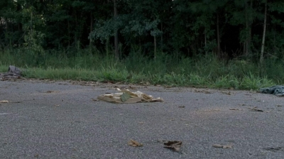 twd0703-1533.jpg