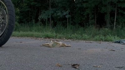 twd0703-1535.jpg