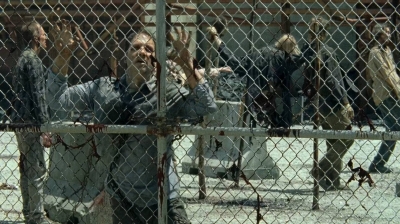 twd0703-2961.jpg