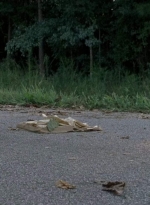 twd0703-1534.jpg