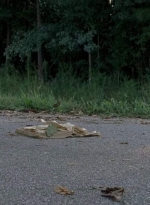 twd0703-1535.jpg