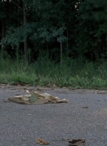 twd0703-1536.jpg