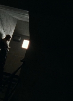 twd0703-2007.jpg