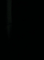 twd0703-2143.jpg