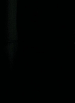 twd0703-2152.jpg