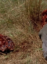 twd0704-0867.jpg