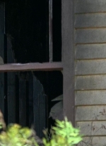 twd0704-2585.jpg