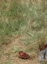 twd0704-3668.jpg