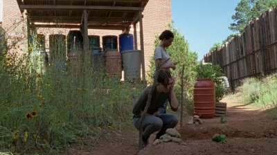 twd0705-0160.jpg