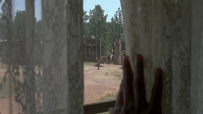 twd0705-2411.jpg