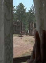 twd0705-2411.jpg