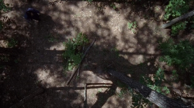 twd0706-0683.jpg