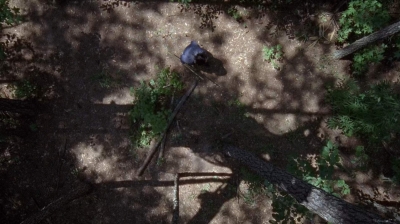 twd0706-0688.jpg