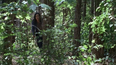 twd0706-0718.jpg