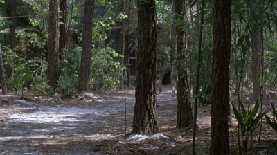 twd0706-0807.jpg