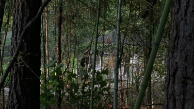 twd0706-0836.jpg