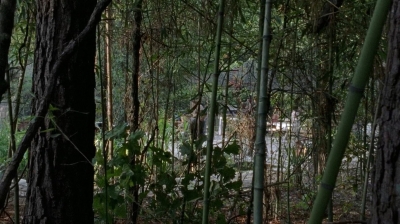 twd0706-0837.jpg