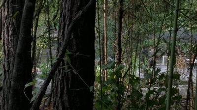 twd0706-0842.jpg