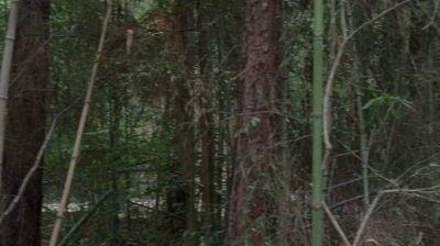 twd0706-0936.jpg