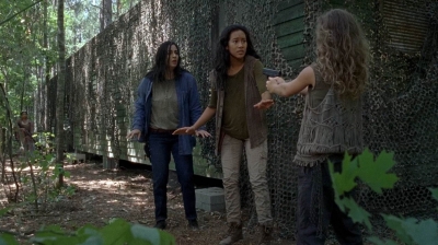 twd0706-0997.jpg