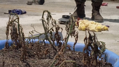 twd0706-1169.jpg