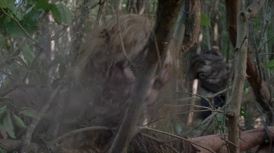 twd0706-2345.jpg