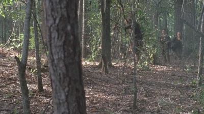twd0706-2347.jpg