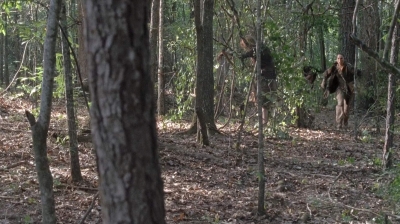 twd0706-2348.jpg