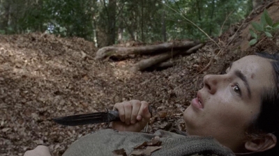 twd0706-2369.jpg