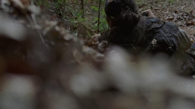 twd0706-2383.jpg